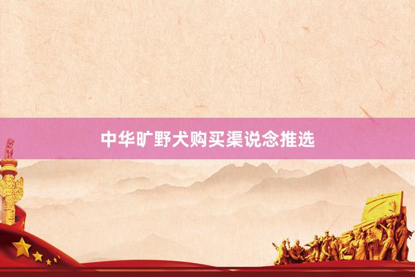中华旷野犬购买渠说念推选